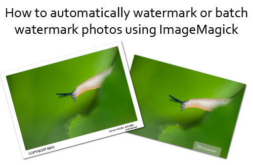 How to automatically watermark or batch watermark photos using ImageMagick